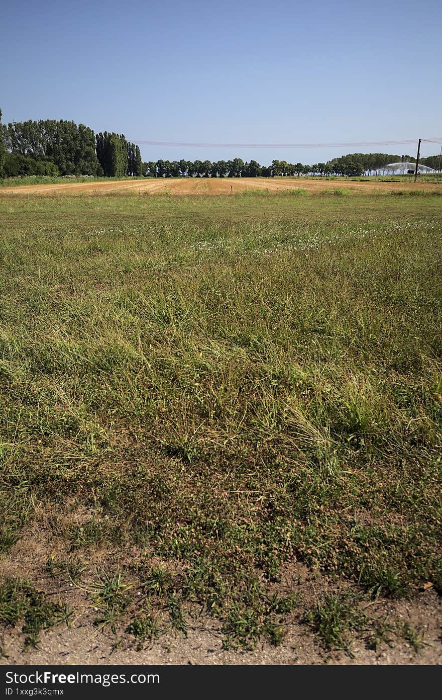 Mowed field in the countryside