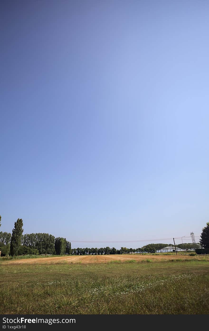 Mowed field in the countryside