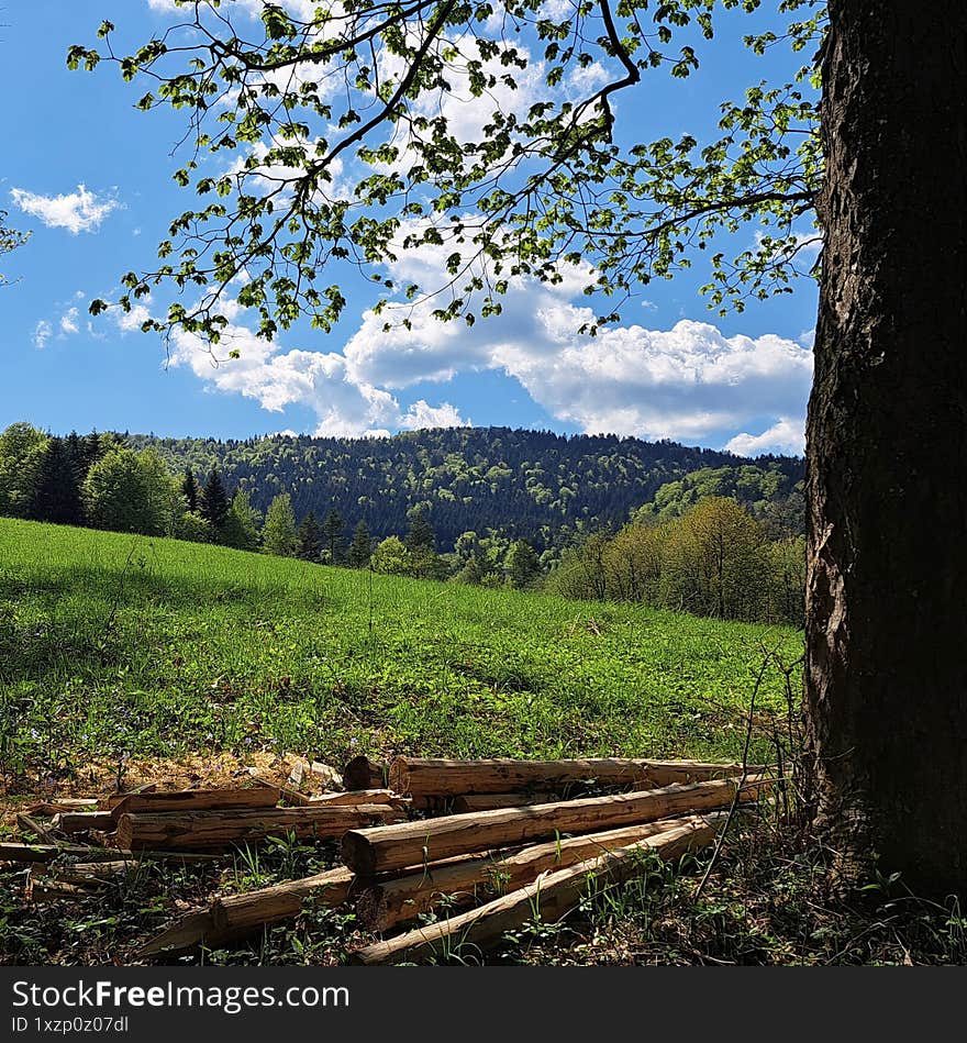 Landscape of mountain meadows turning green in spring.