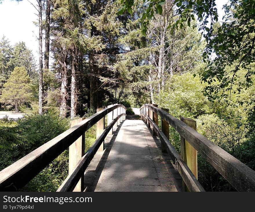 Wooden Bridge across creek in the Oregon Park near the Pacific Ocean.