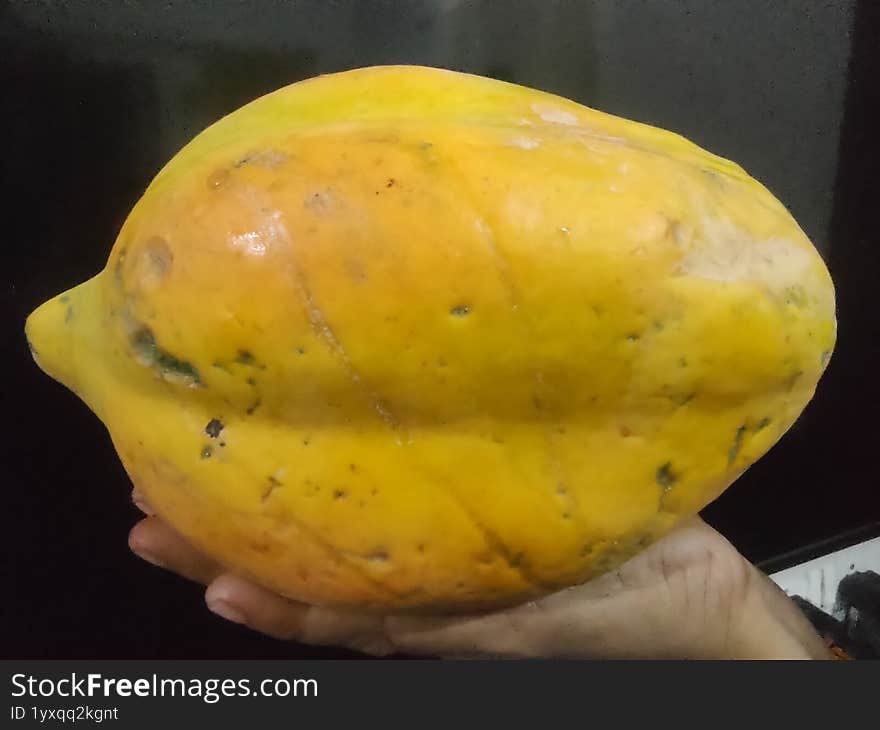 Papaya fruit from kitchen garden harvesting