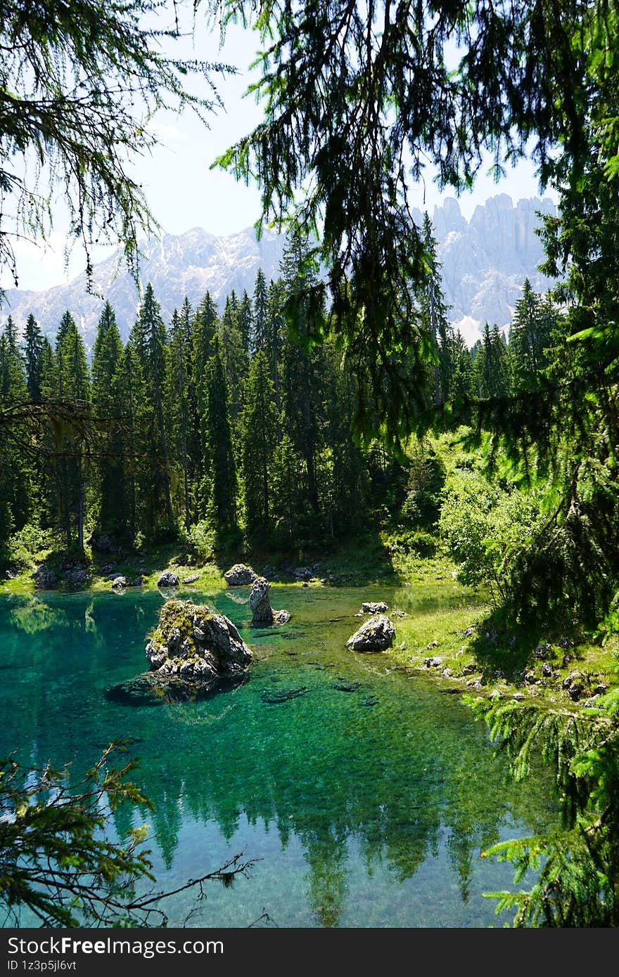 Dolomites Mountains, Nature Forest Vegetation