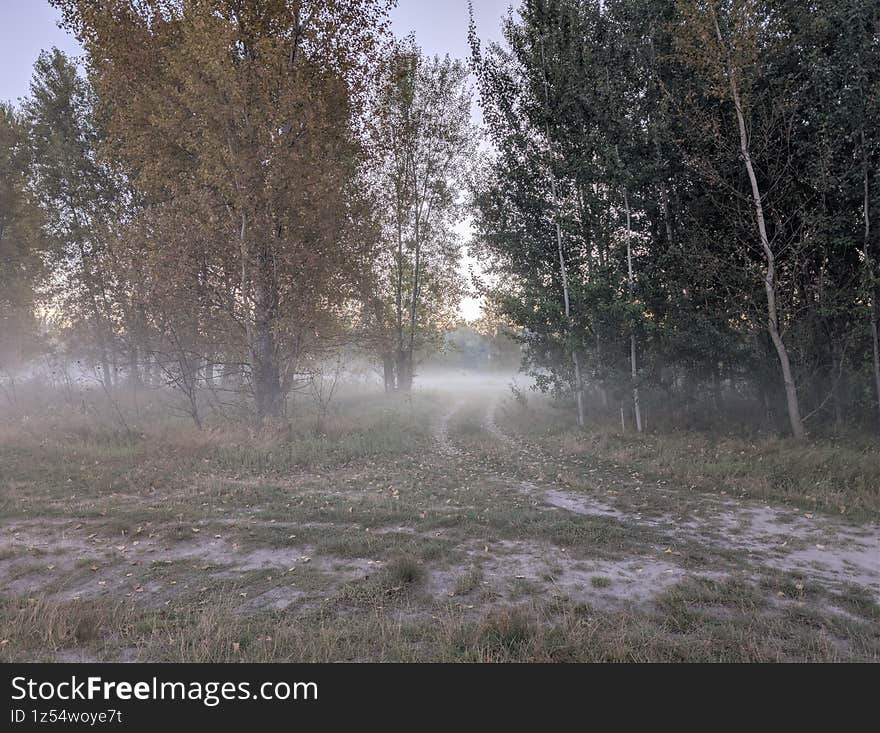 Early autumn morning with fog on the field and on the river