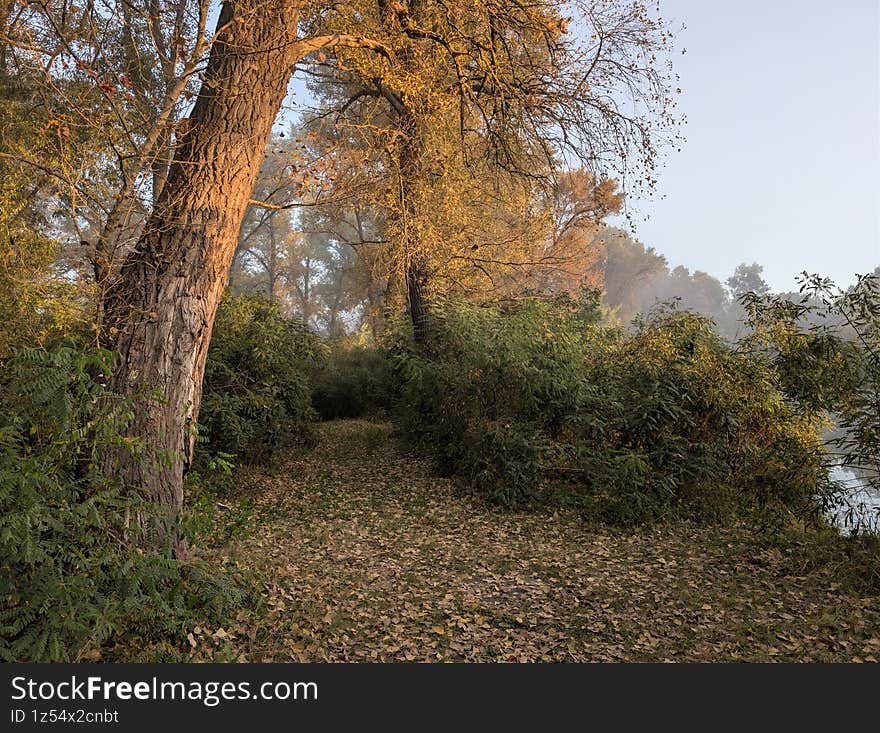 Early autumn morning with fog on the field and on the river