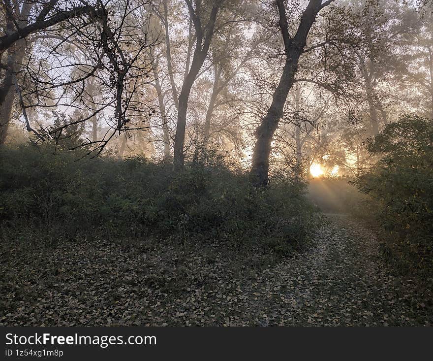 Early autumn morning with fog on the field and on the river