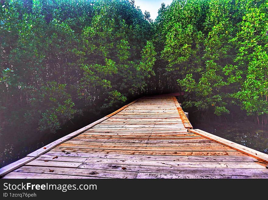 This photo is about then wooden boardwalk through the mangrove park in Pramuka Island of the Thousand Island Regency in Jakarta