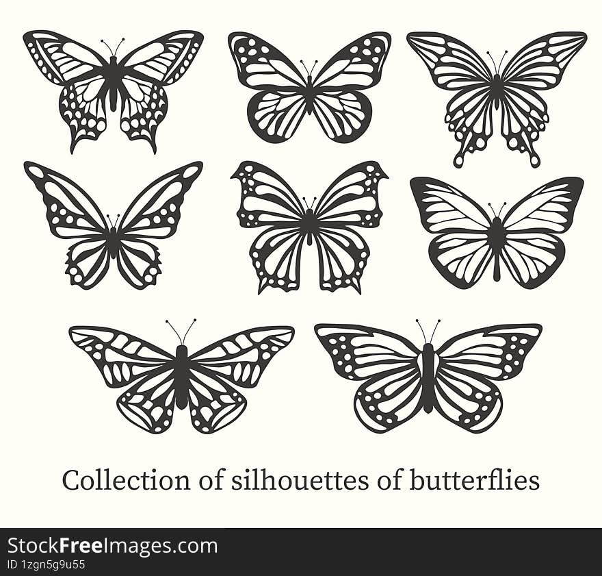 set of black butterfly silhouettes