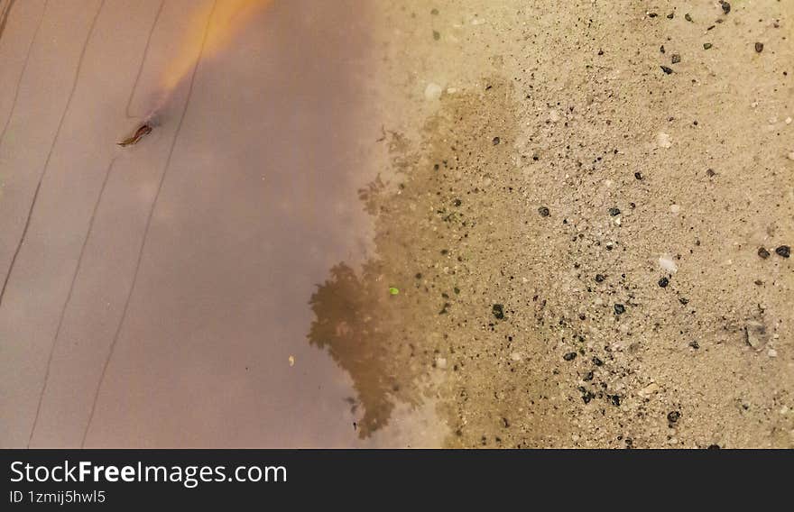 Floodwater touching sand like on the seashore.