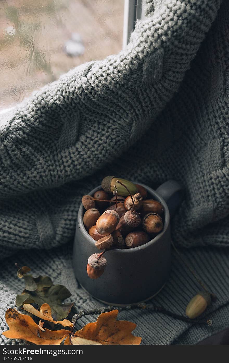 Acorns in a Cup, Autumn Still Life. Still life photo of acorns in a cup, highlighting warm autumn colors and cozy textures, creati