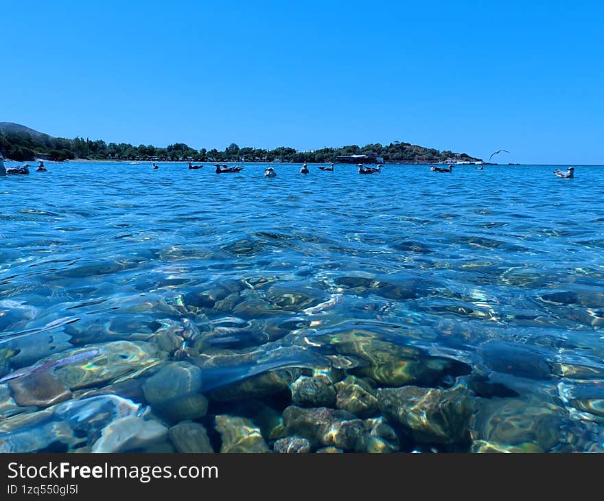 swimming underwater and take photos with camera