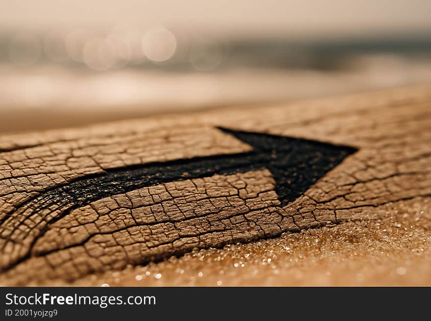 These images are donated to support creative projects and education, allowing anyone to use them freely for non-commercial purposes. Each photo is shared in the spirit of open collaboration and knowledge sharing.