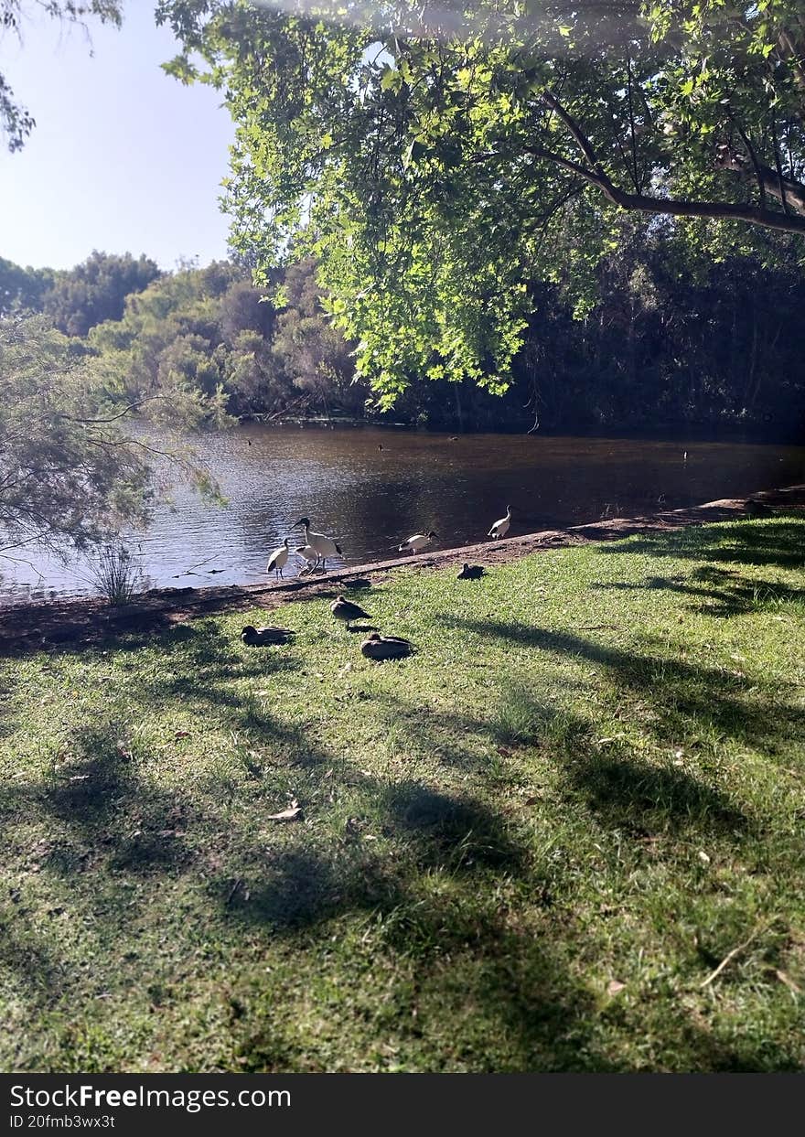 In the hyde park Perth Australia