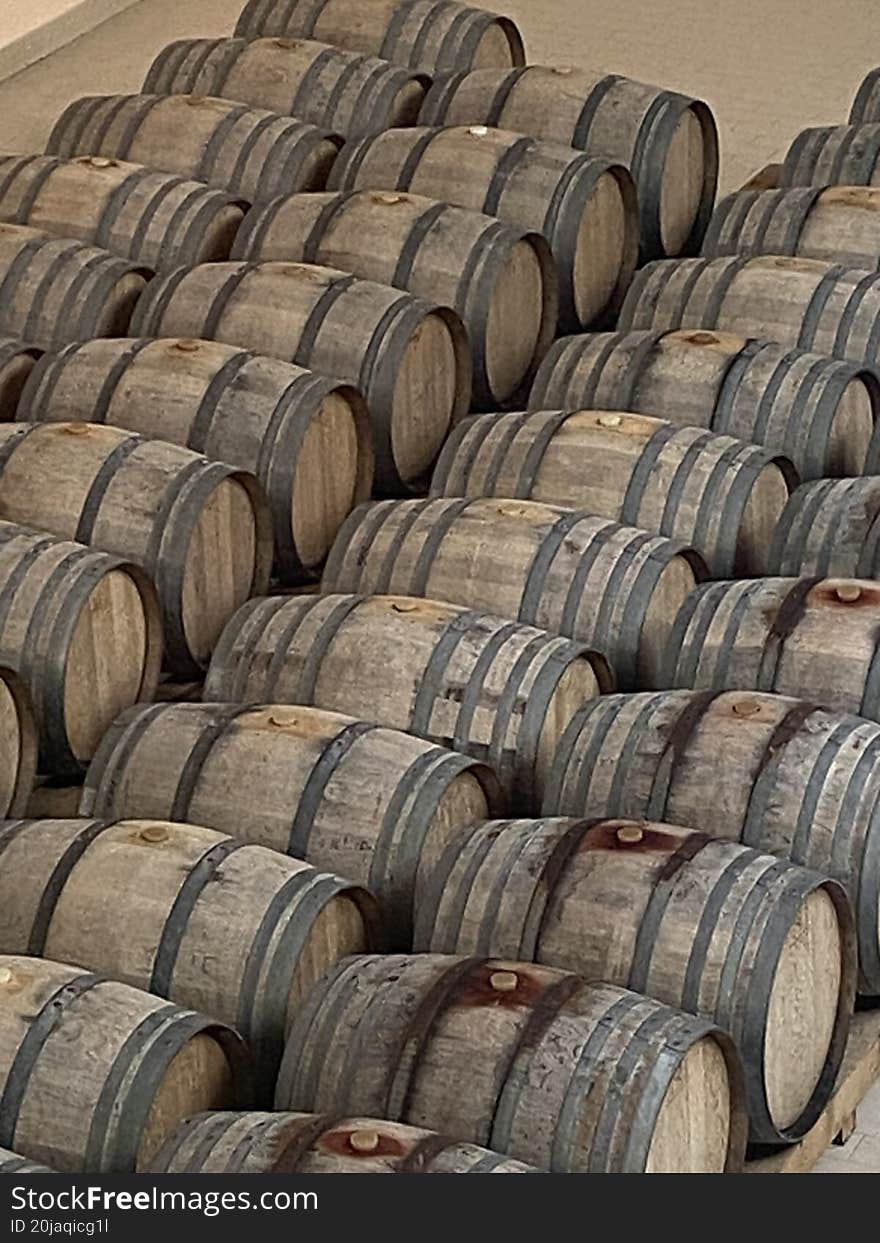 Group of wooden barrels for winemaking