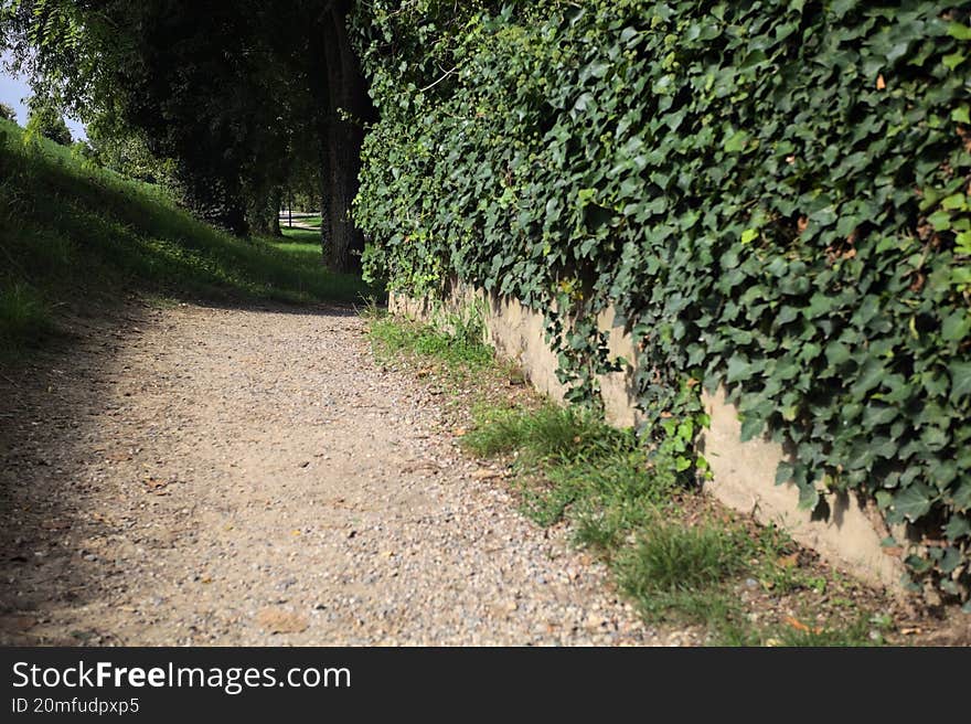 Narrow passage on a trail passing between an embankment and a stone rail with a hedge behind it in a park. Narrow passage on a trail passing between an embankment and a stone rail with a hedge behind it in a park