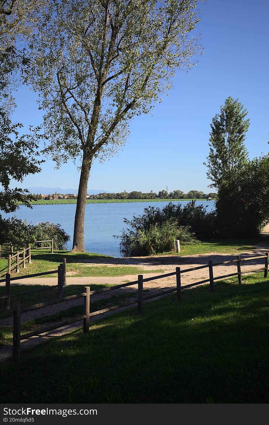 Inlet between trees and reeds by the shore of a lake in a park on a sunny day seen from above. Inlet between trees and reeds by the shore of a lake in a park on a sunny day seen from above