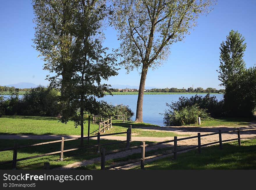 Inlet between trees and reeds by the shore of a lake in a park on a sunny day seen from above. Inlet between trees and reeds by the shore of a lake in a park on a sunny day seen from above