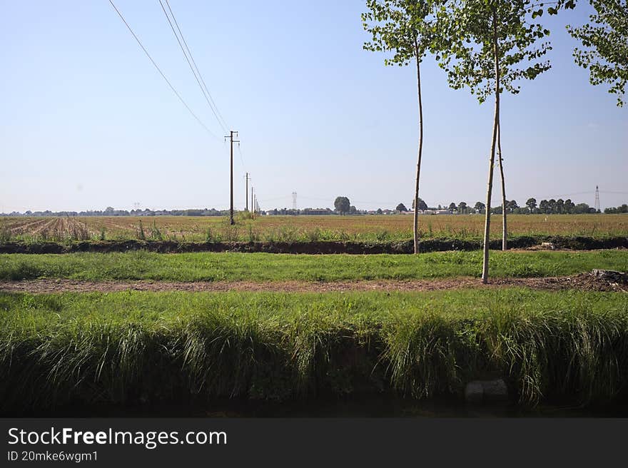 Electricity pylons and a overhead powerline between the opening of a row of trees passing over a meadow in the italian countryside on a sunny day seen from the shore of a stream of water. Electricity pylons and a overhead powerline between the opening of a row of trees passing over a meadow in the italian countryside on a sunny day seen from the shore of a stream of water