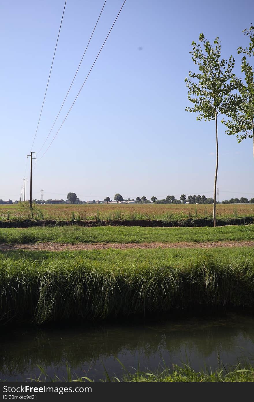 Electricity pylons and a overhead powerline between the opening of a row of trees passing over a meadow in the italian countryside on a sunny day seen from the shore of a stream of water. Electricity pylons and a overhead powerline between the opening of a row of trees passing over a meadow in the italian countryside on a sunny day seen from the shore of a stream of water