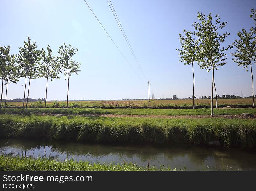 Electricity pylons and a overhead powerline between the opening of a row of trees passing over a meadow in the italian countryside on a sunny day seen from the shore of a stream of water. Electricity pylons and a overhead powerline between the opening of a row of trees passing over a meadow in the italian countryside on a sunny day seen from the shore of a stream of water
