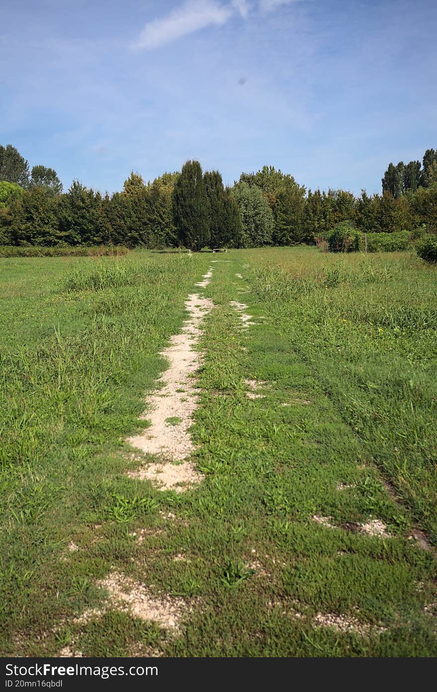Trail in a lawn of a park with trees in the background on a sunny day in the italian countryside. Trail in a lawn of a park with trees in the background on a sunny day in the italian countryside