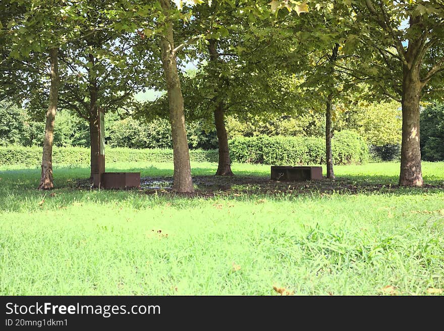 Benches under a circle made of trees in a lawn of a park on a sunny day. Benches under a circle made of trees in a lawn of a park on a sunny day