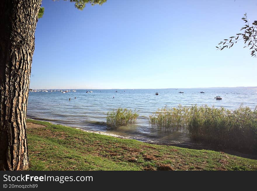 Grass beach with reeds by the shore of a lake and a mountain ridge on the horizon on a sunny day with a tree framing the scene. Grass beach with reeds by the shore of a lake and a mountain ridge on the horizon on a sunny day with a tree framing the scene