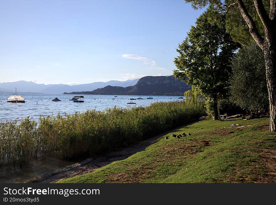 Grass beach with reeds by the shore of a lake and a mountain ridge on the horizon on a sunny day with a tree framing the scene. Grass beach with reeds by the shore of a lake and a mountain ridge on the horizon on a sunny day with a tree framing the scene