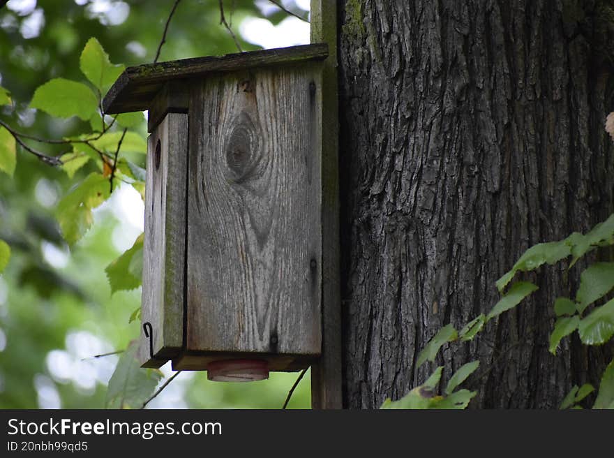 The image shows a simple wooden structure serving as shelter for birds, conveying a sense of calm and harmony with nature. The image shows a simple wooden structure serving as shelter for birds, conveying a sense of calm and harmony with nature