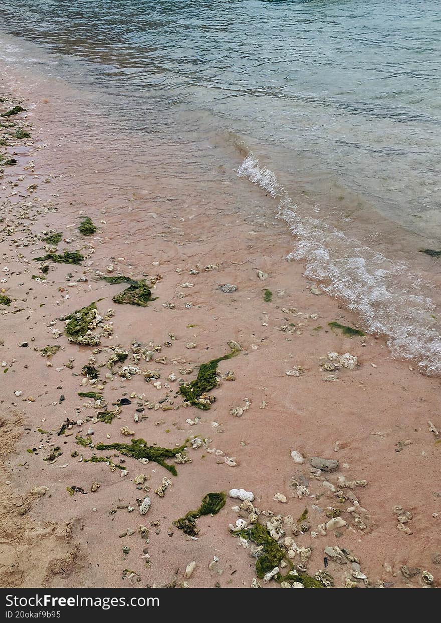 Pink sand beach in Indonesia