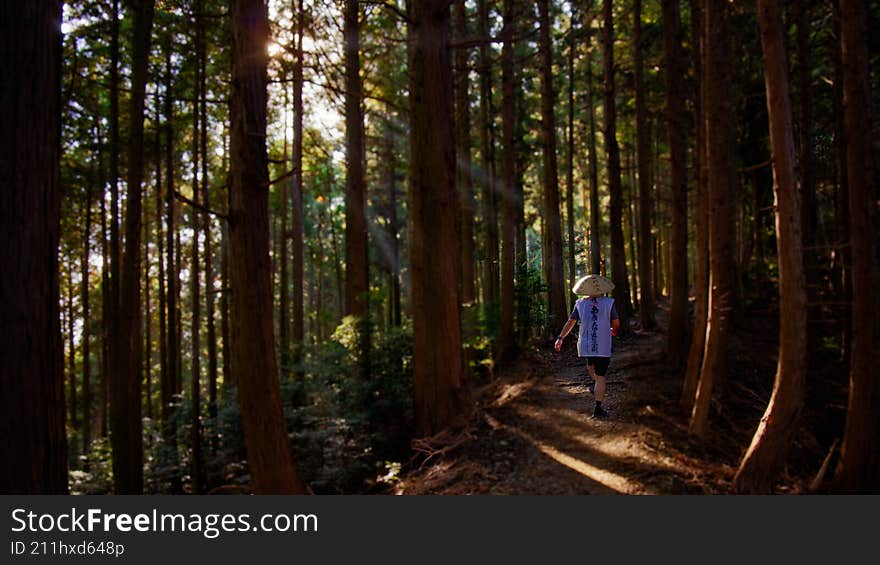 Japanese Pilgrim Walking Through Forest On Shikoku Pilgrimage Trail