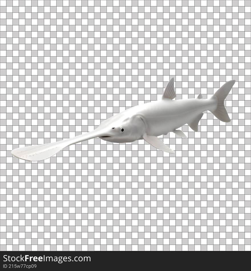 A Transparent sea fish photo