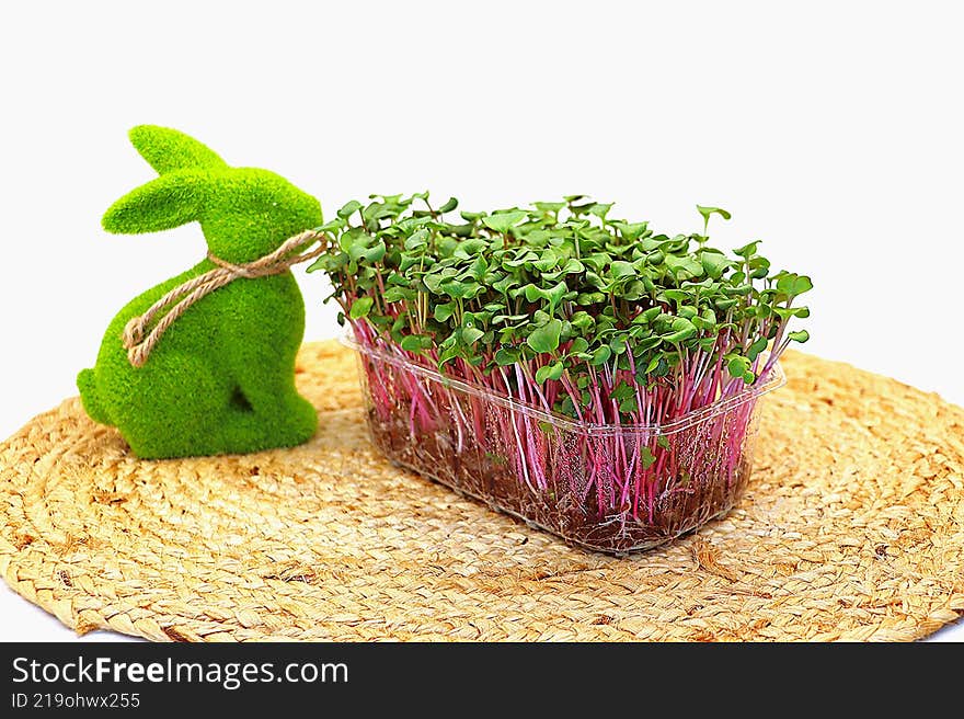 photo of chard in the form of microgreens
