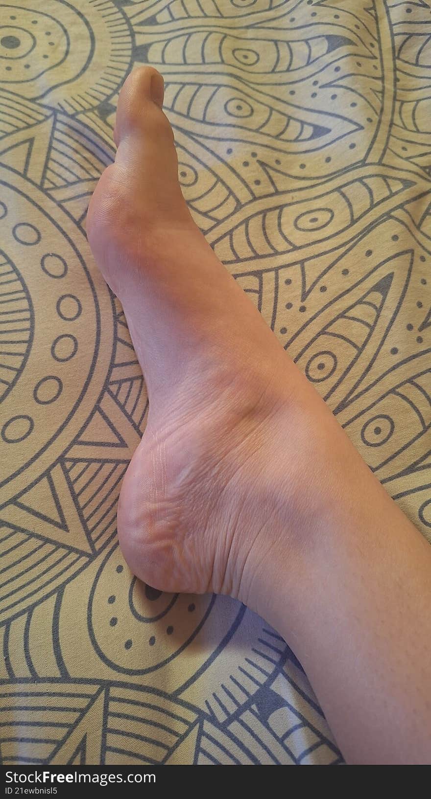 Hi, I'm Bella, I'm leaving you a gift, a picture of my foot!