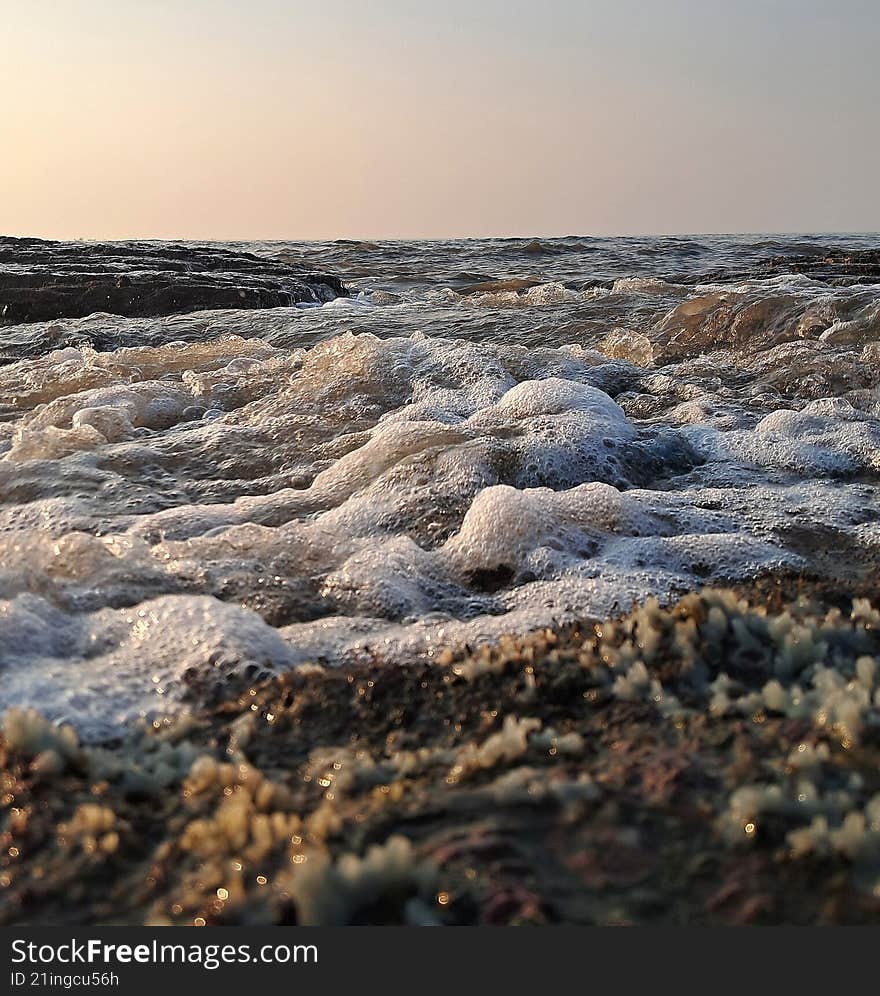 white waves , colliding the rocks on the shore, eroding it, with sea squirts- a type of sedentary coral, besides it in the bottom