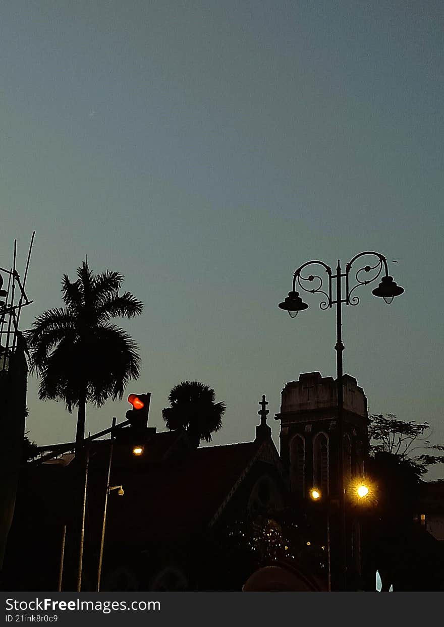 a view of city street lamp-post with coconut tree besides it