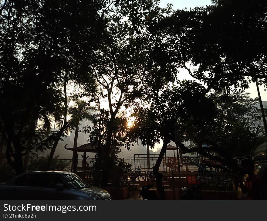 group of trees blocking incoming sunlight and forming a beautiful air pattern