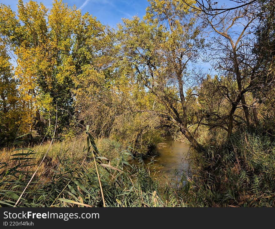 Scenic view of a tranquil river surrounded by autumn foliage and lush greenery