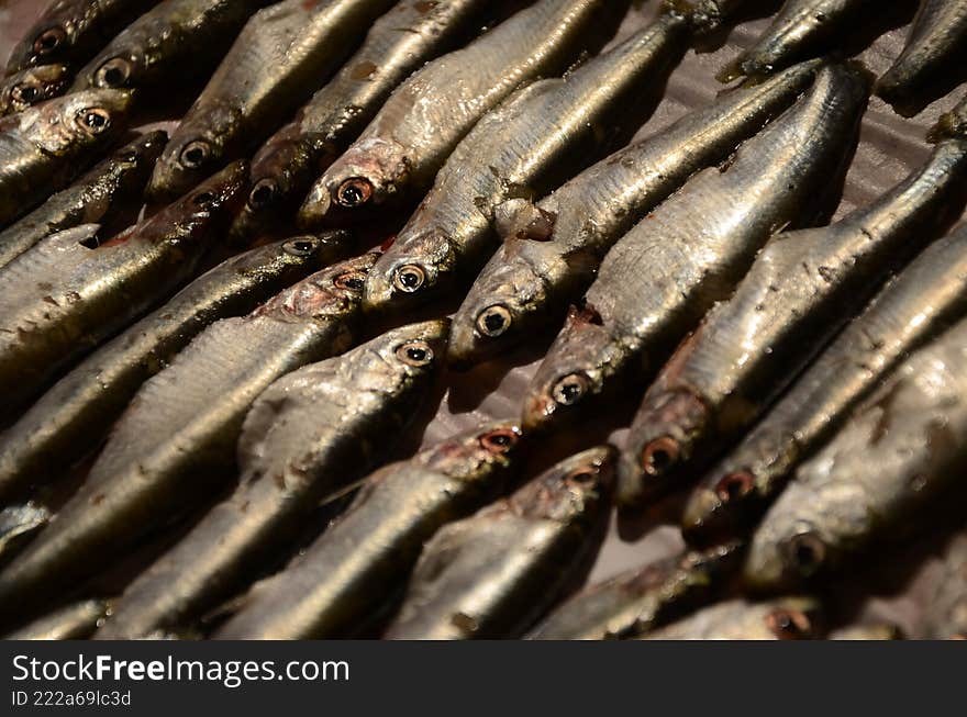 Close-up view of fresh anchovies arranged in rows, forming a metallic seafood texture. Suitable as a food background for culinary