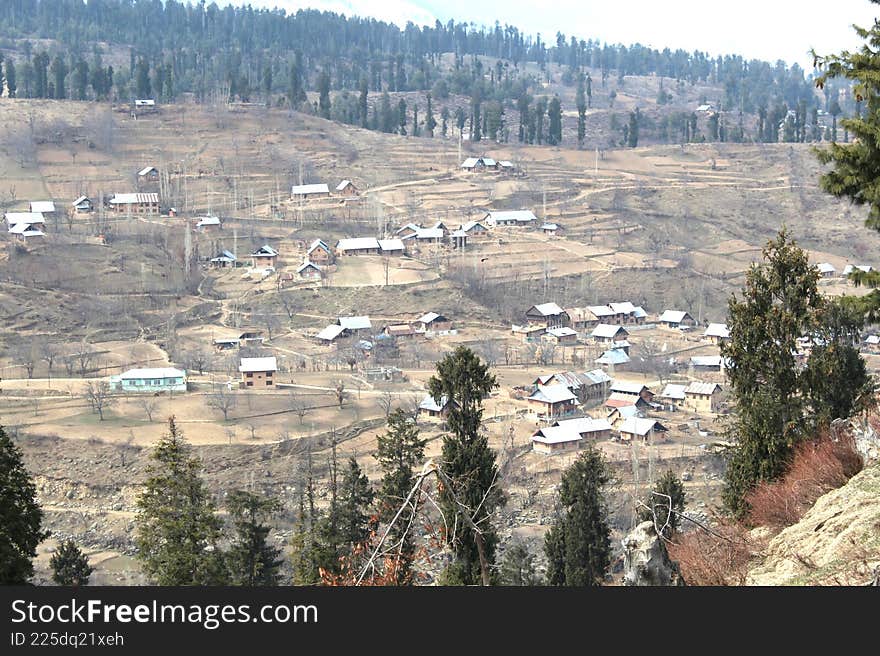 The scattered dwellings in a forest area, Kashmir
