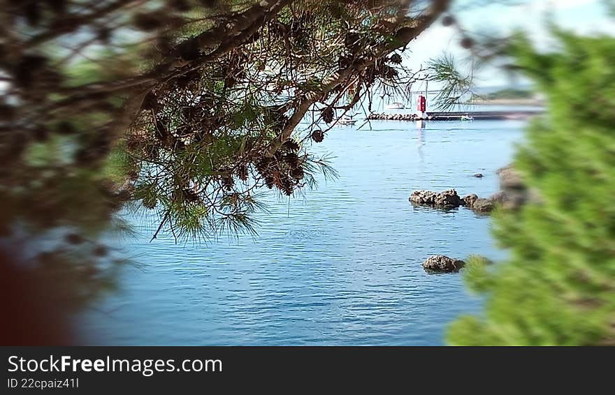 A red lighthouse can be seen from a distance - a view through the pine trees. Lighthouse.