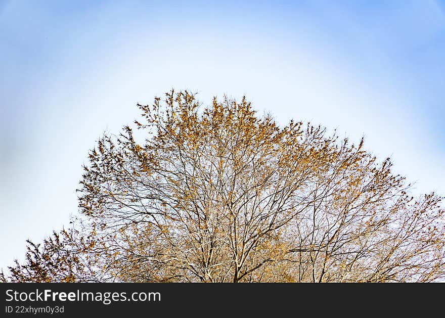 Aerial view of the blue, uninhabited ocean