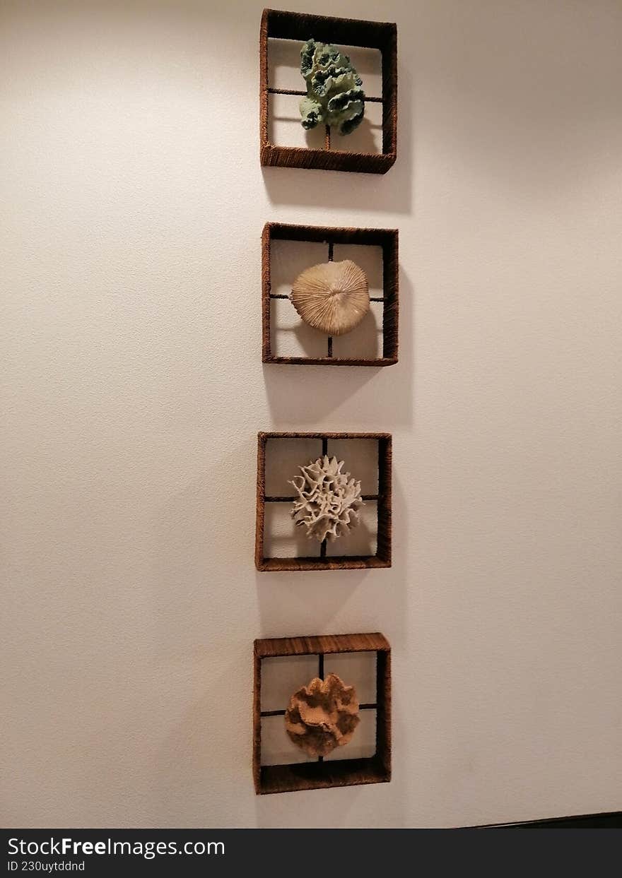 A striking study in contrasts, where rigid human geometry frames the chaotic beauty of the ocean. Four dark, rustic shadow boxes are stacked in a disciplined vertical column against a serene blue backdrop. Inside each square 'cage' floats a delicate, bleached white coral specimen�suspended in the center to highlight the intricate, organic textures that nature created, distinct from the hard lines of the frames. A striking study in contrasts, where rigid human geometry frames the chaotic beauty of the ocean. Four dark, rustic shadow boxes are stacked in a disciplined vertical column against a serene blue backdrop. Inside each square 'cage' floats a delicate, bleached white coral specimen�suspended in the center to highlight the intricate, organic textures that nature created, distinct from the hard lines of the frames.