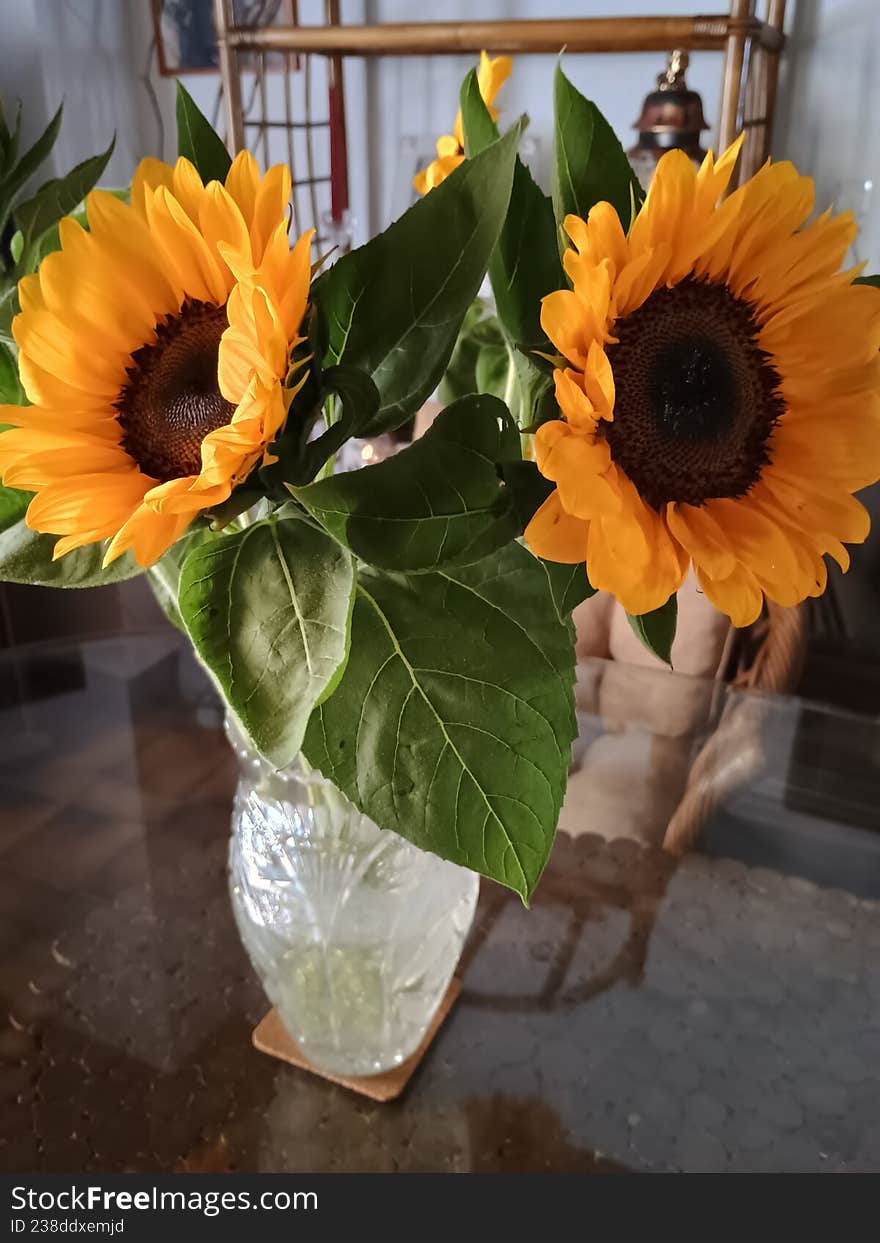 Beautiful bouquet of fresh yellow sunflowers in a glass vase on a table indoors. Bright sunflower blooms with green leaves create