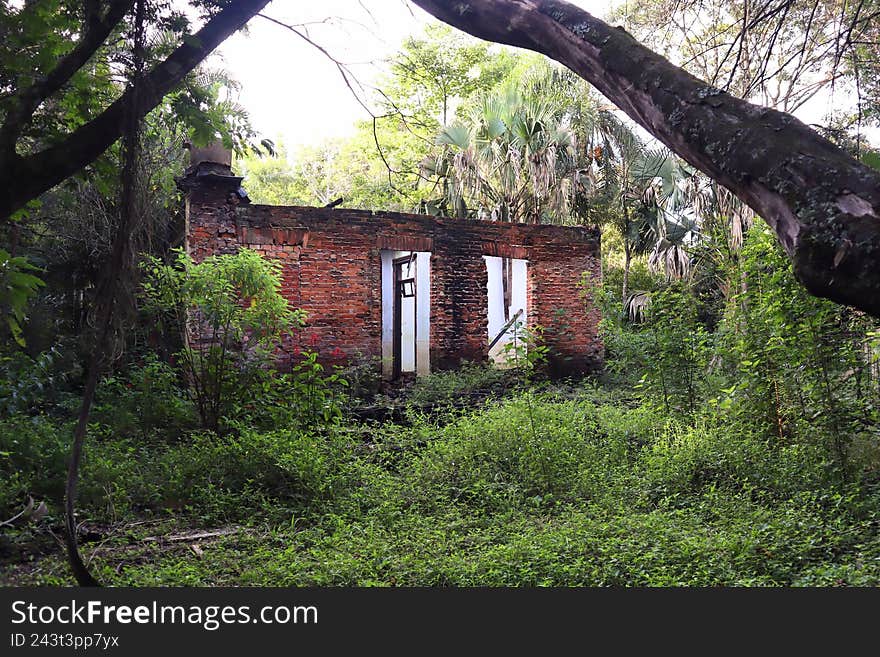 This photo was took at my howetown Taquara. It shows the ruins of an old house.
