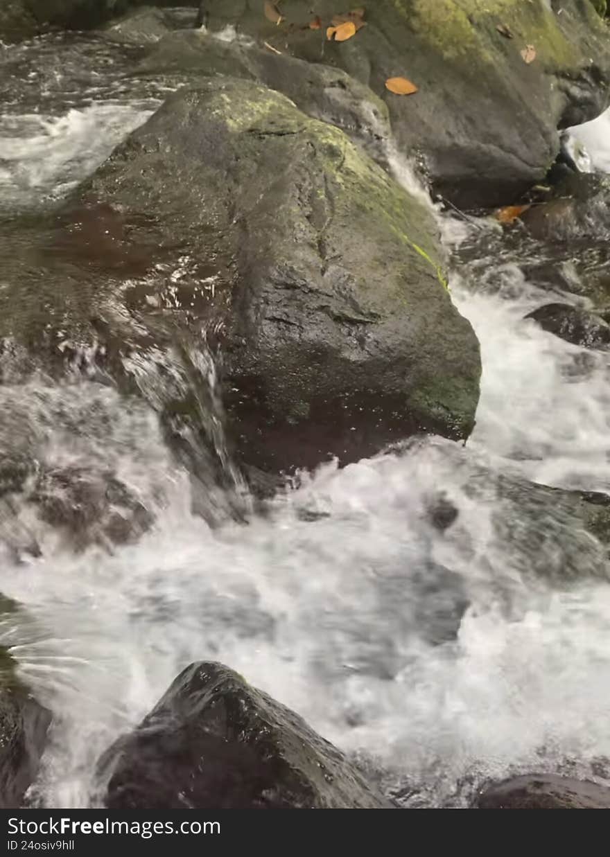 The rivers that cut through the Atlantic forest usually have many stones that make the landscape even more beautiful. The rivers that cut through the Atlantic forest usually have many stones that make the landscape even more beautiful