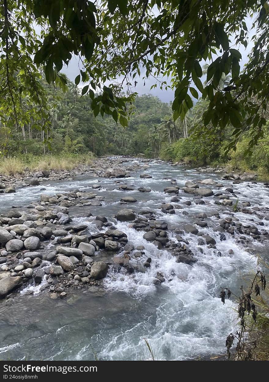 The rivers that cut through the Atlantic forest usually have many stones that make the landscape even more beautiful. The rivers that cut through the Atlantic forest usually have many stones that make the landscape even more beautiful