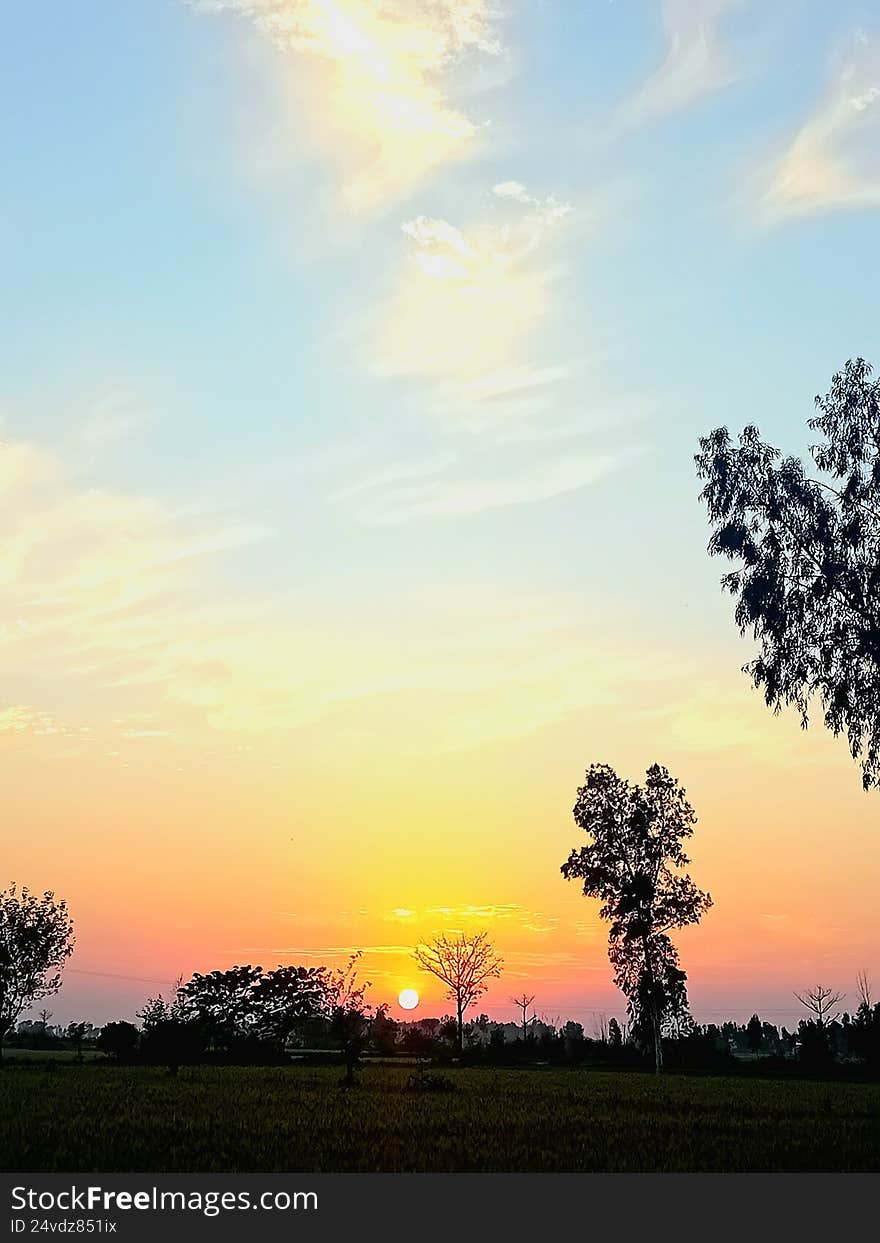 A sunset ? view showing trees
