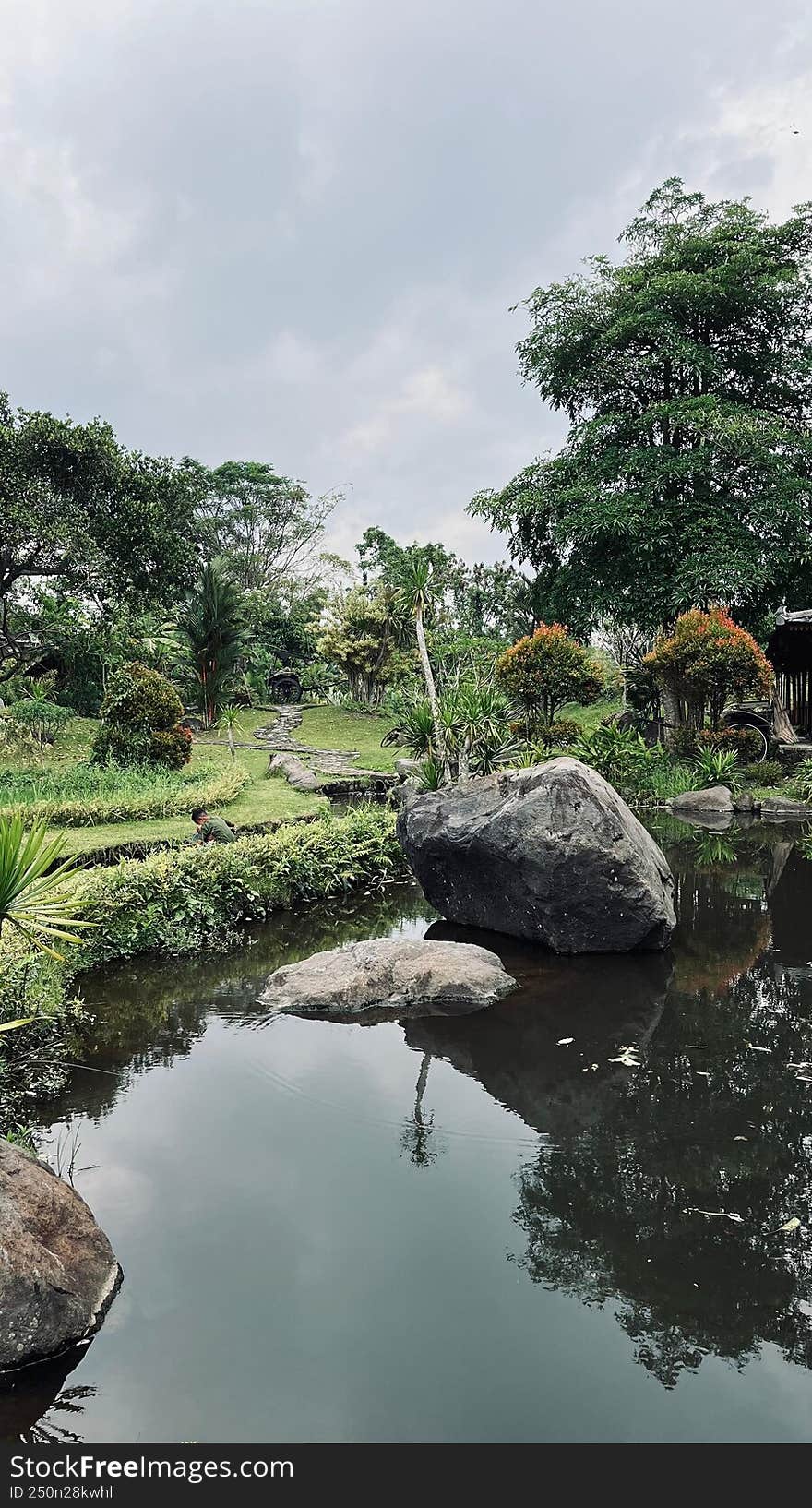 Green Grass Park and Yard