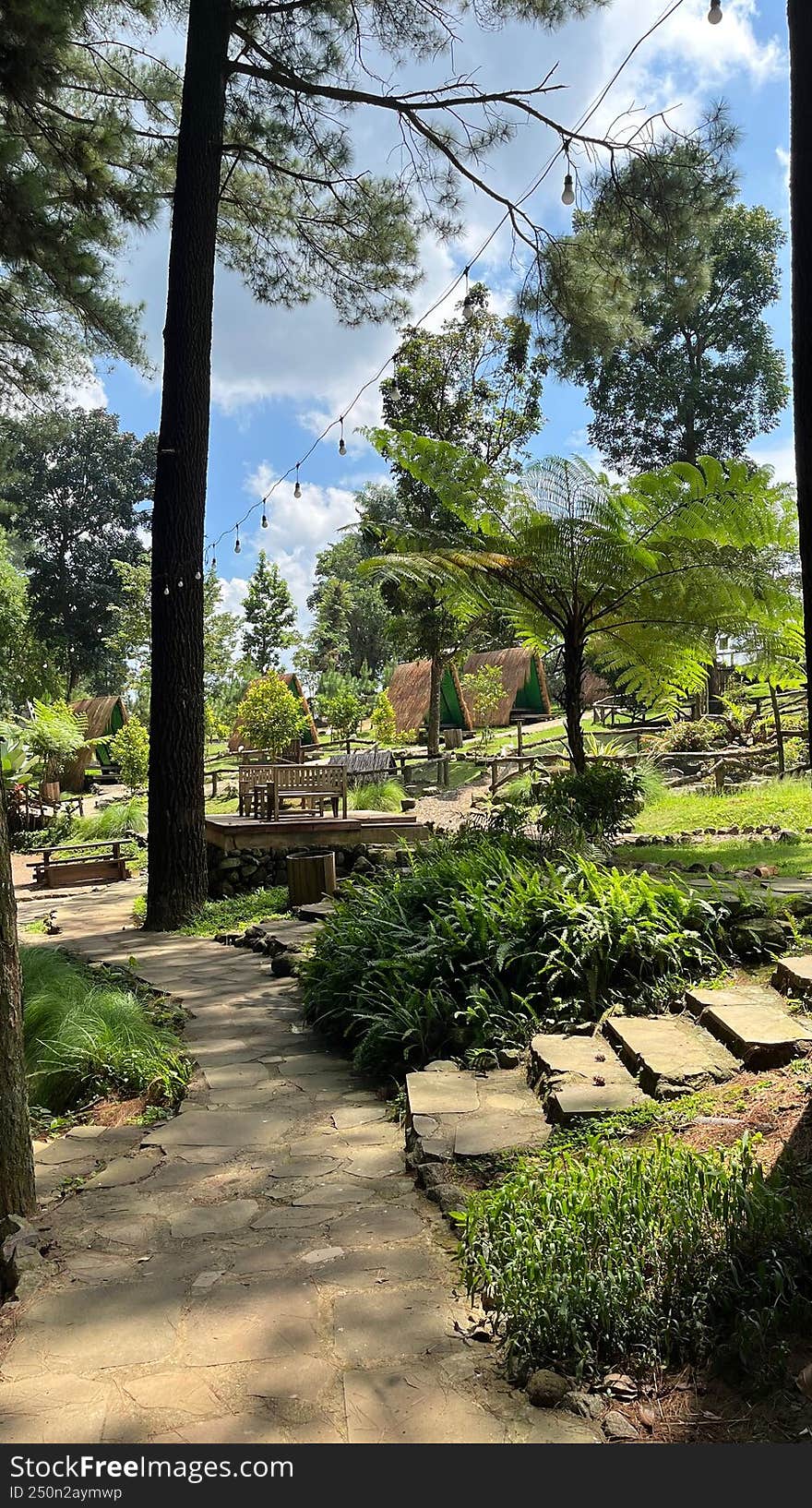 Forest Green In Indonesian Country
