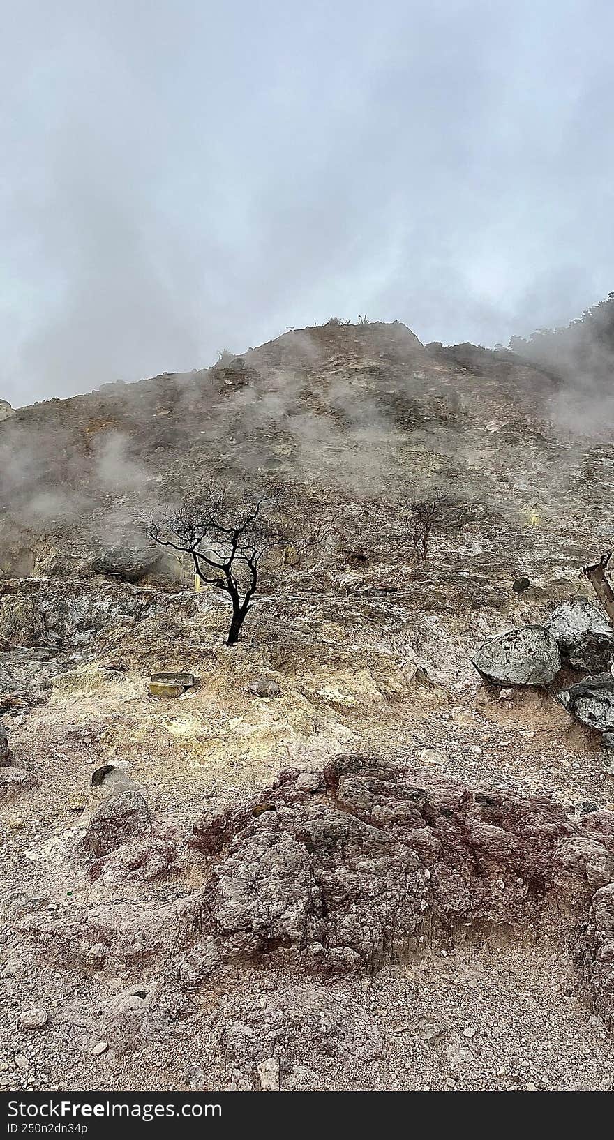 Dead Land in Peak Mountain